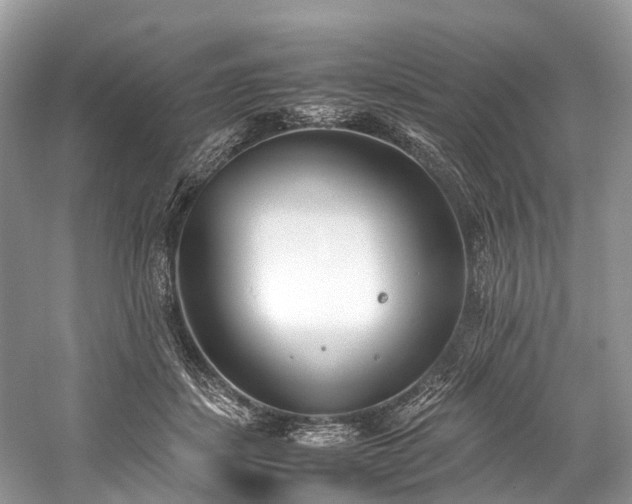 X0000059830459200510211217