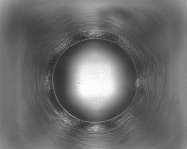 X0000059830460200510211217