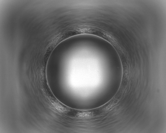 X0000059830461200510211217