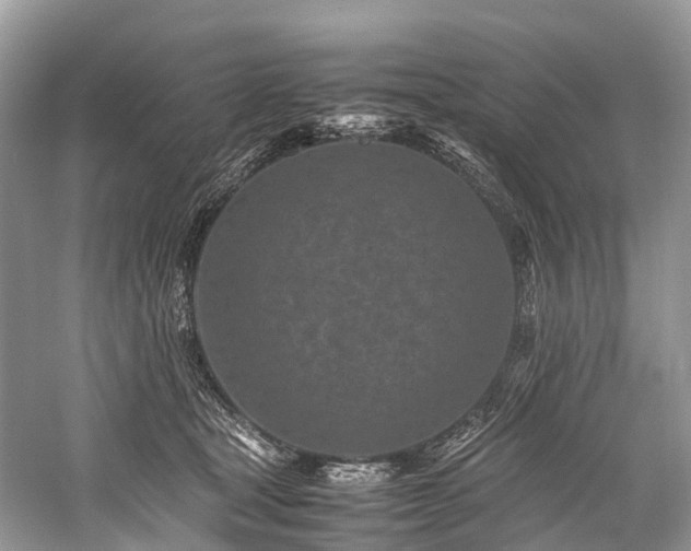 X0000059830465200510211218