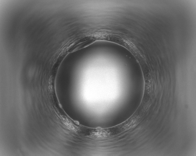 X0000059830466200510211218