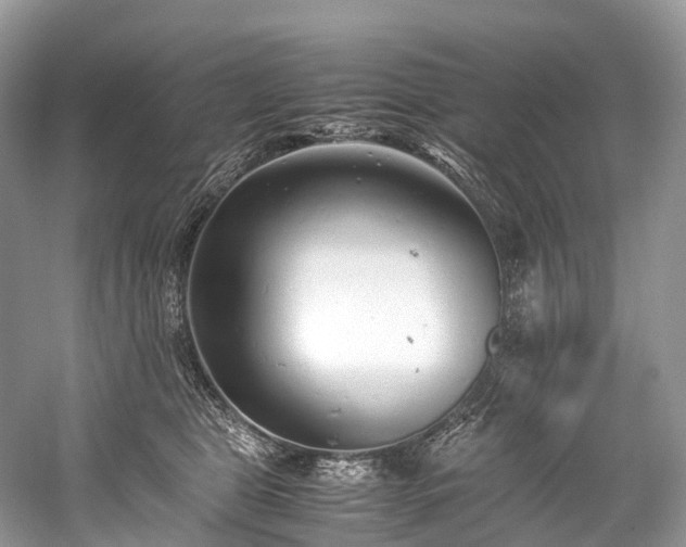 X0000059830469200510211218