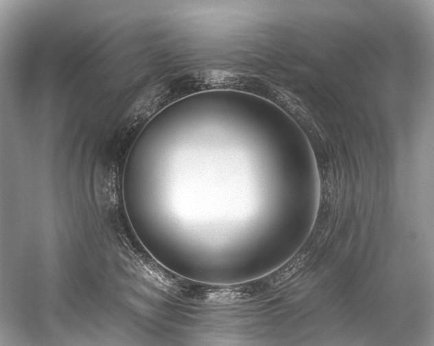 X0000059830470200510211218