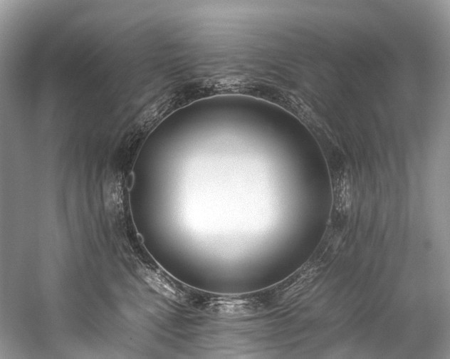 X0000059830472200510211218