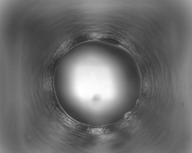 X0000059830473200510211218