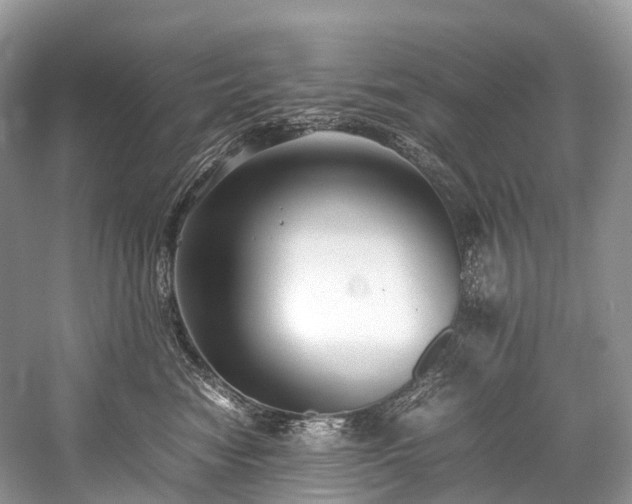 X0000059830474200510211218