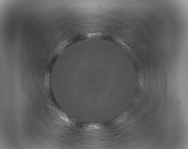 X0000059830475200510211218