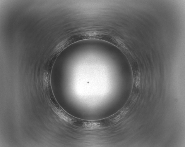 X0000059830476200510211218