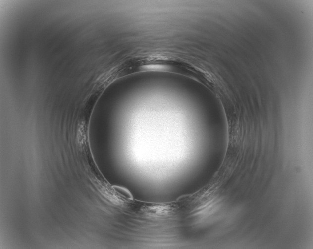 X0000059830478200510211218