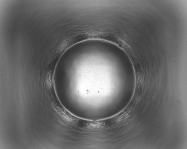 X0000059830479200510211218