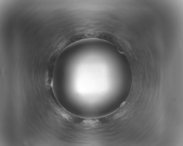 X0000059830480200510211218