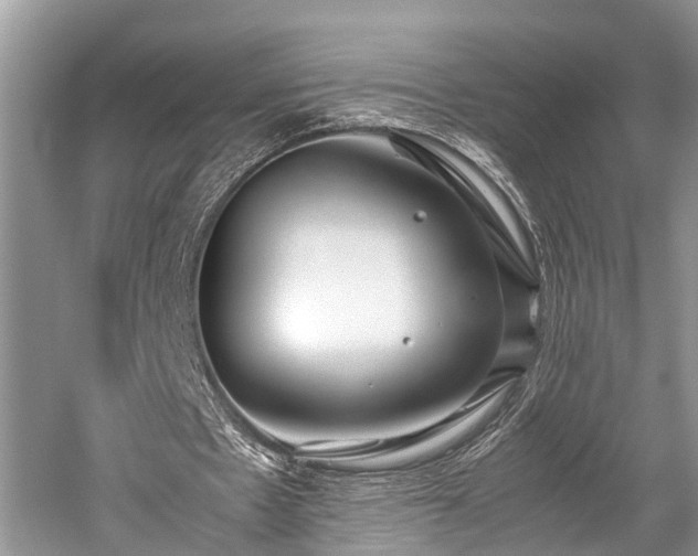 X0000059830481200510211217