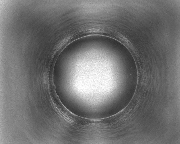 X0000059830482200510211217