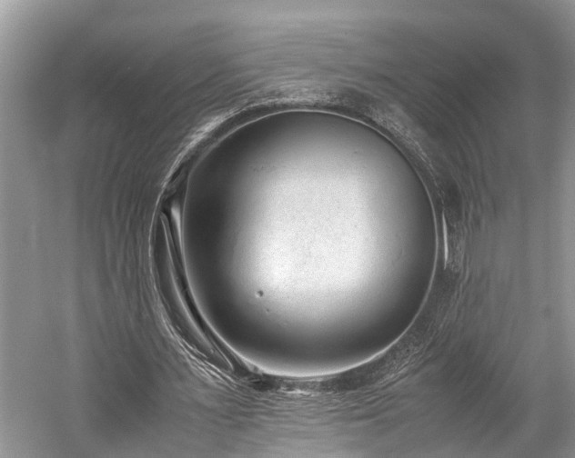 X0000059830483200510211217