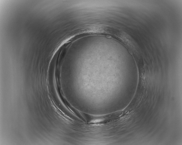 X0000059830484200510211217