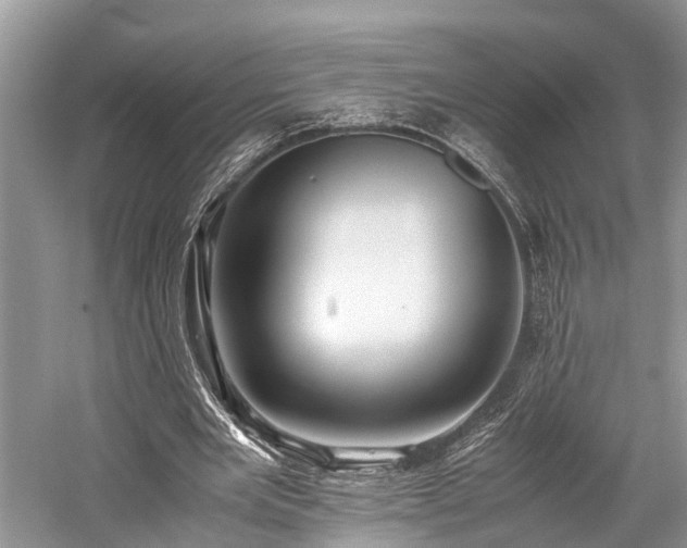 X0000059830485200510211217