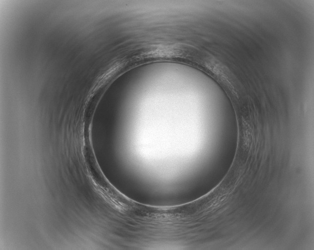 X0000059830486200510211217