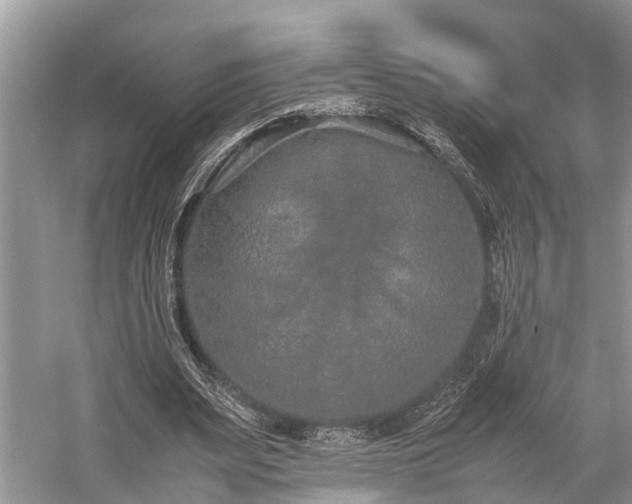 X0000059830487200510211217