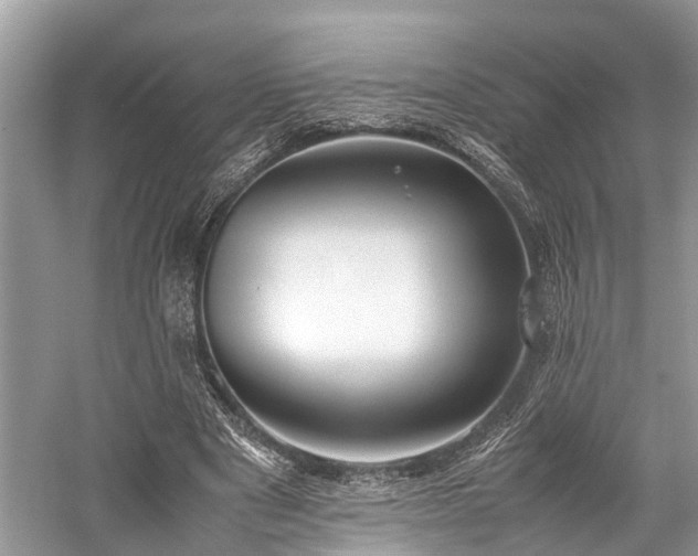 X0000059830489200510211217