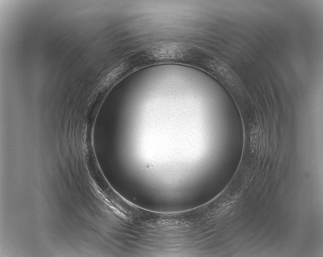 X0000059830490200510211217