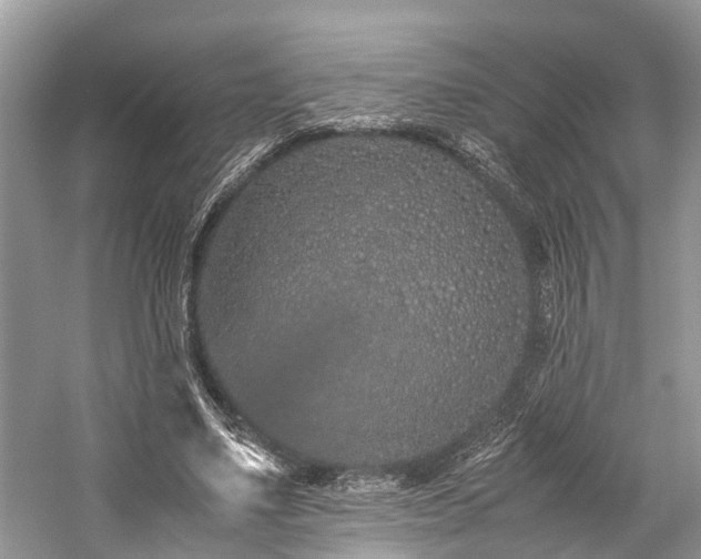 X0000059830491200510211217