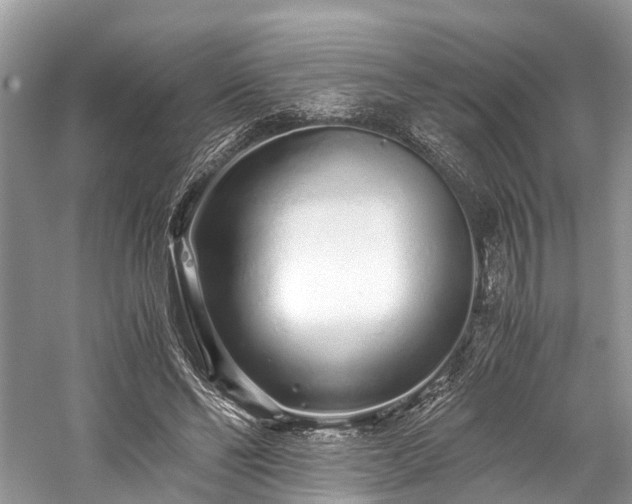 X0000059830494200510211217