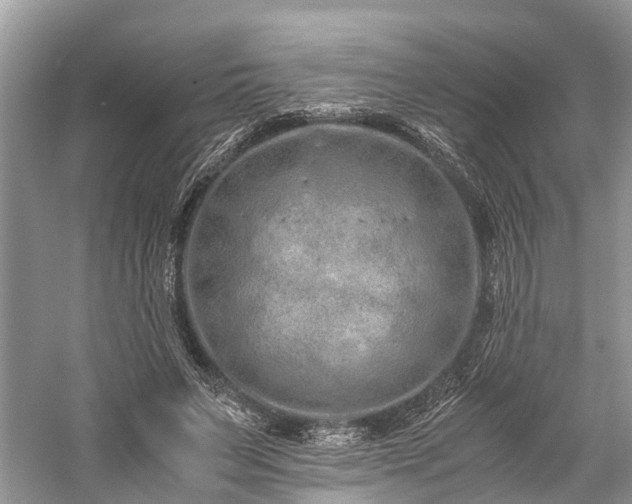 X0000059830495200510211217