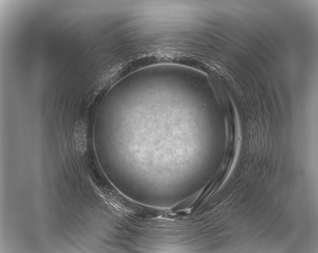 X0000059830496200510211217