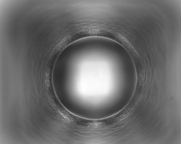 X0000059830497200510211217