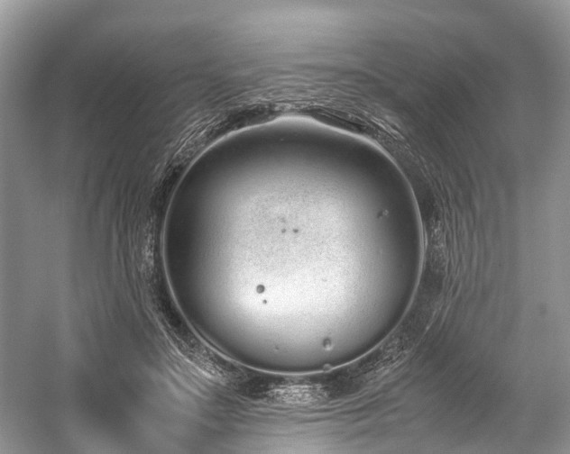 X0000059830499200510211217