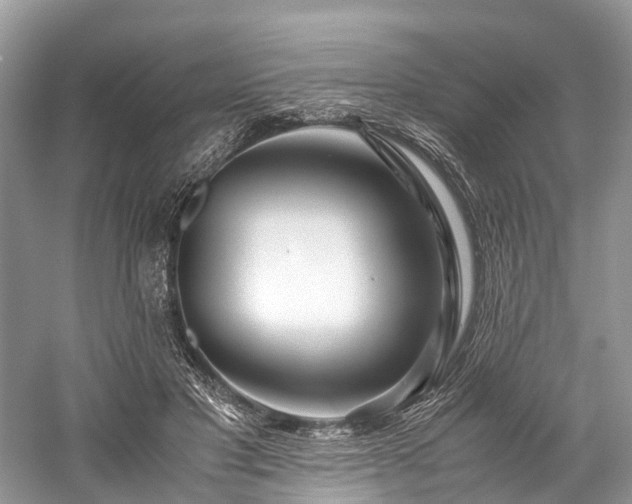 X0000059830501200510211217