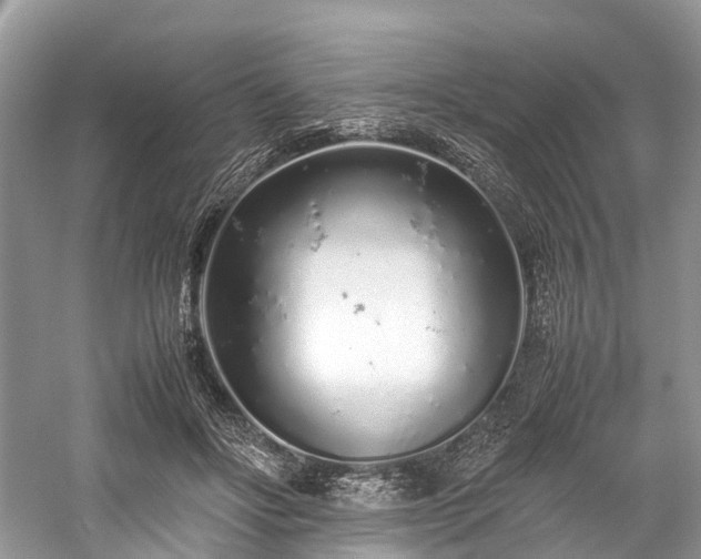 X0000059830502200510211217