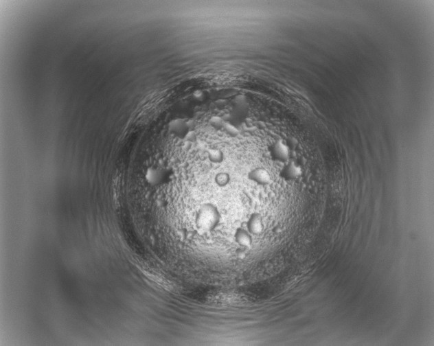 X0000059830503200510211217