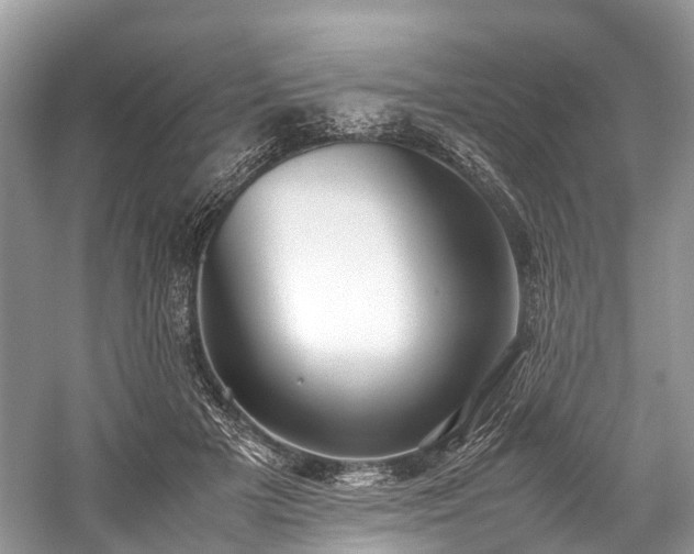 X0000059830505200510211217