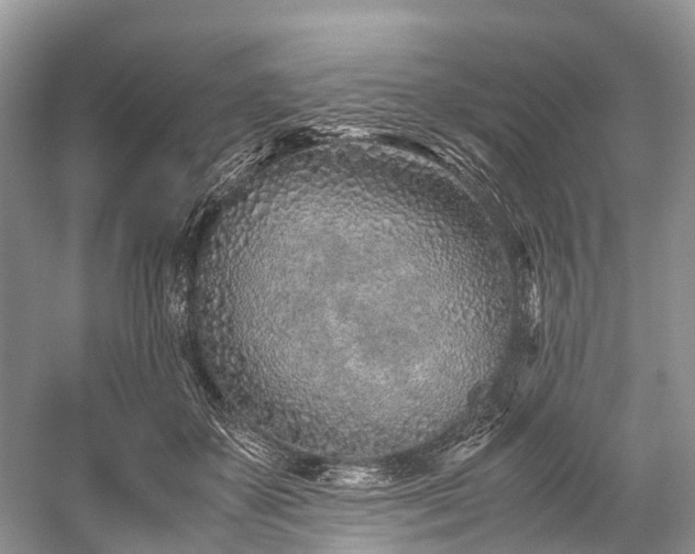 X0000059830507200510211217