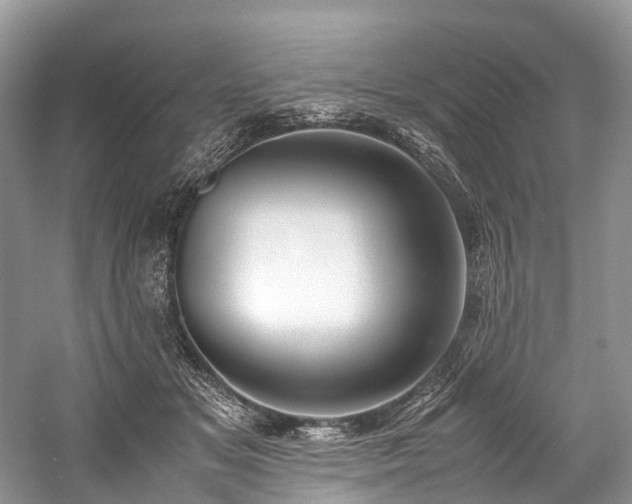 X0000059830509200510211216