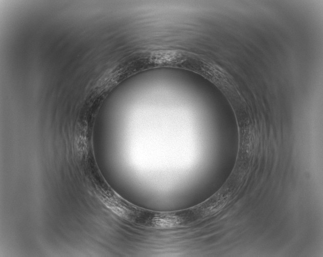 X0000059830510200510211216