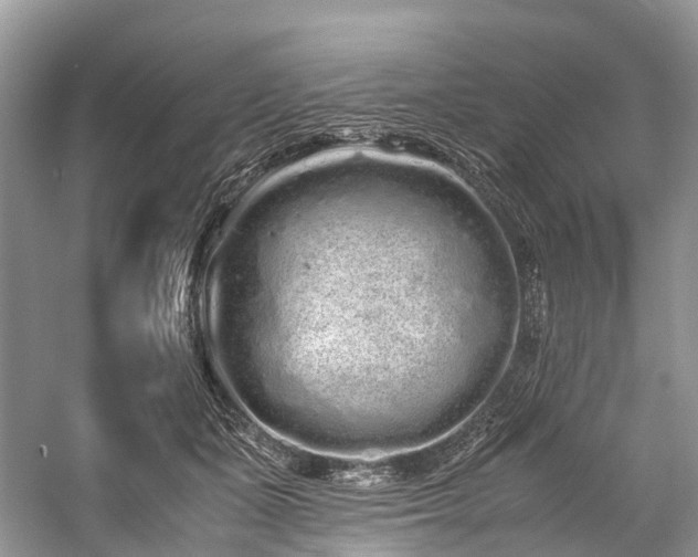 X0000059830511200510211216