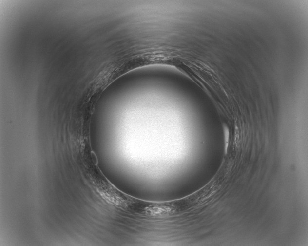 X0000059830512200510211216