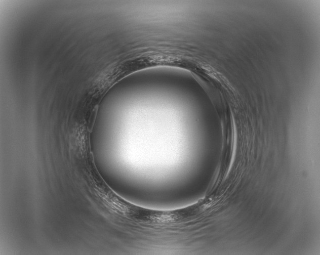 X0000059830513200510211216