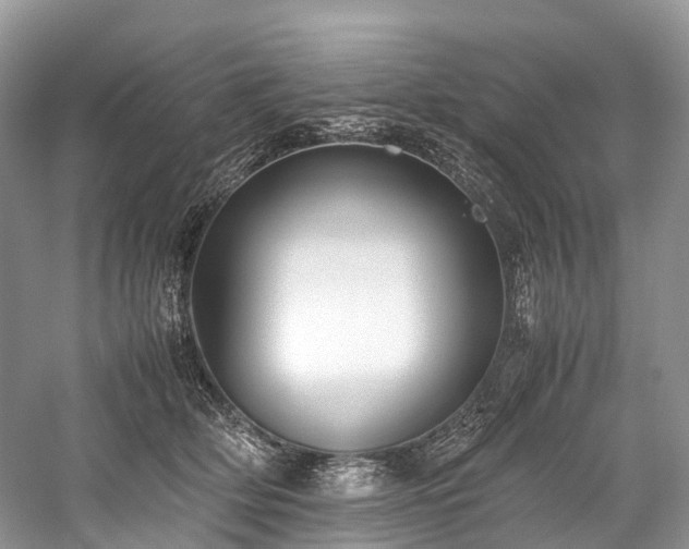 X0000059830514200510211216