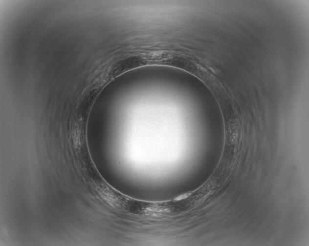 X0000059830515200510211216