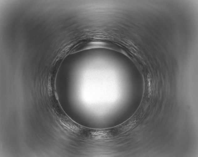 X0000059830516200510211216