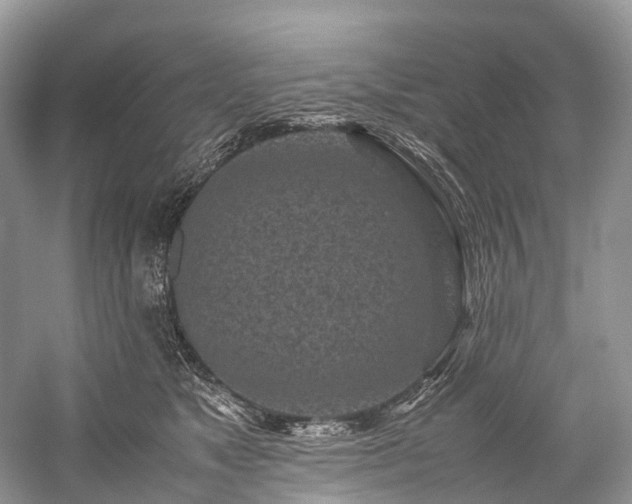 X0000059830517200510211216