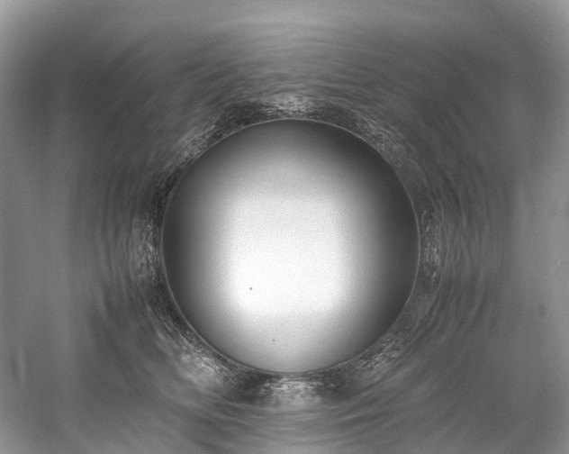 X0000059830518200510211216