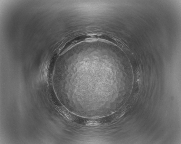 X0000059830519200510211216