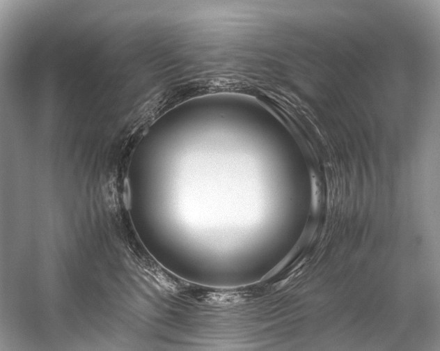 X0000059830520200510211216