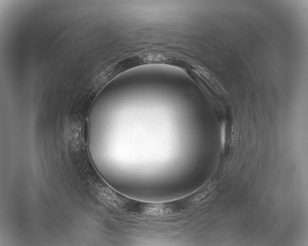 X0000059830521200510211216