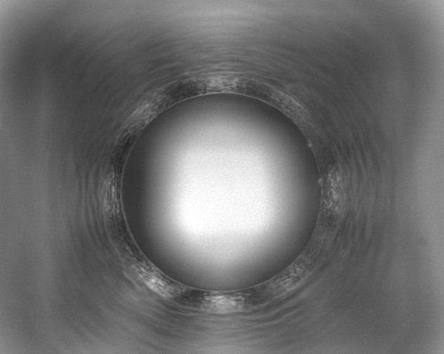 X0000059830522200510211216