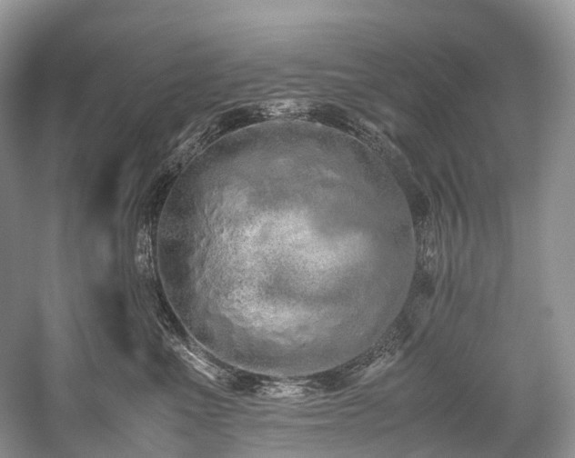 X0000059830523200510211216